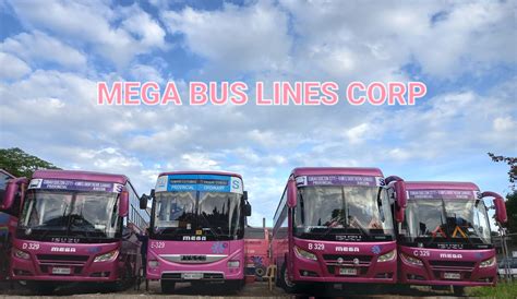 mega bus lines corp|Home [www.megaline.com.ph].